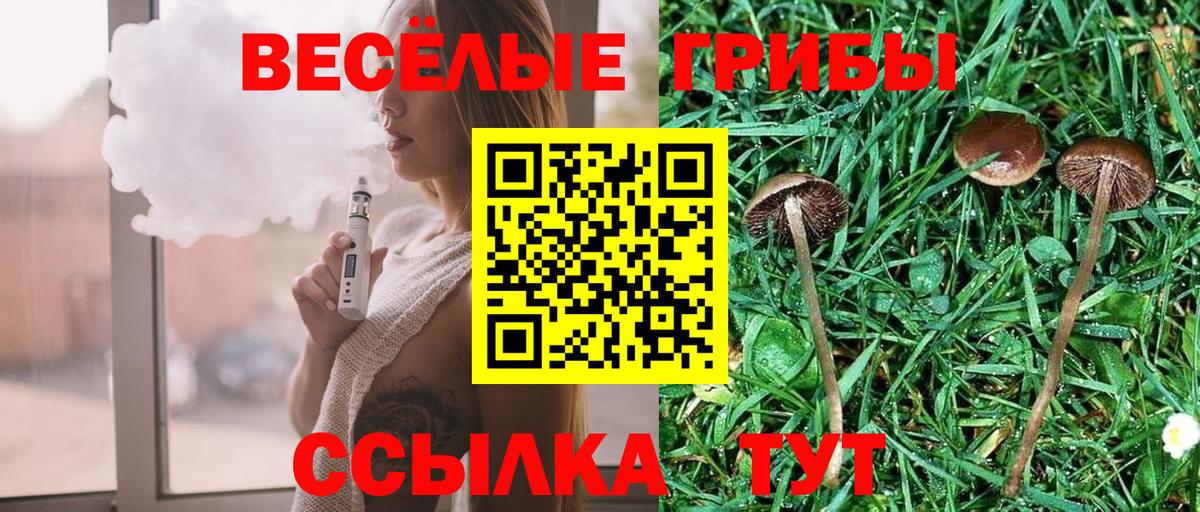 Грозный  Псилоцибиновые грибы Psilocybine cubensis  Вход с VPN  Псилоцибиновые грибы мухоморы 