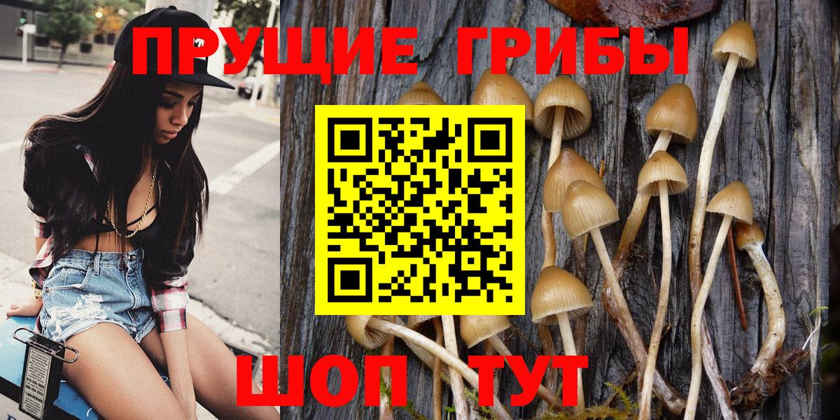 Псилоцибиновые грибы MAGIC MUSHROOMS Грозный